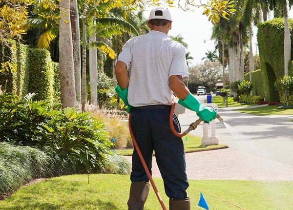 About Huddleston VA Pest Control